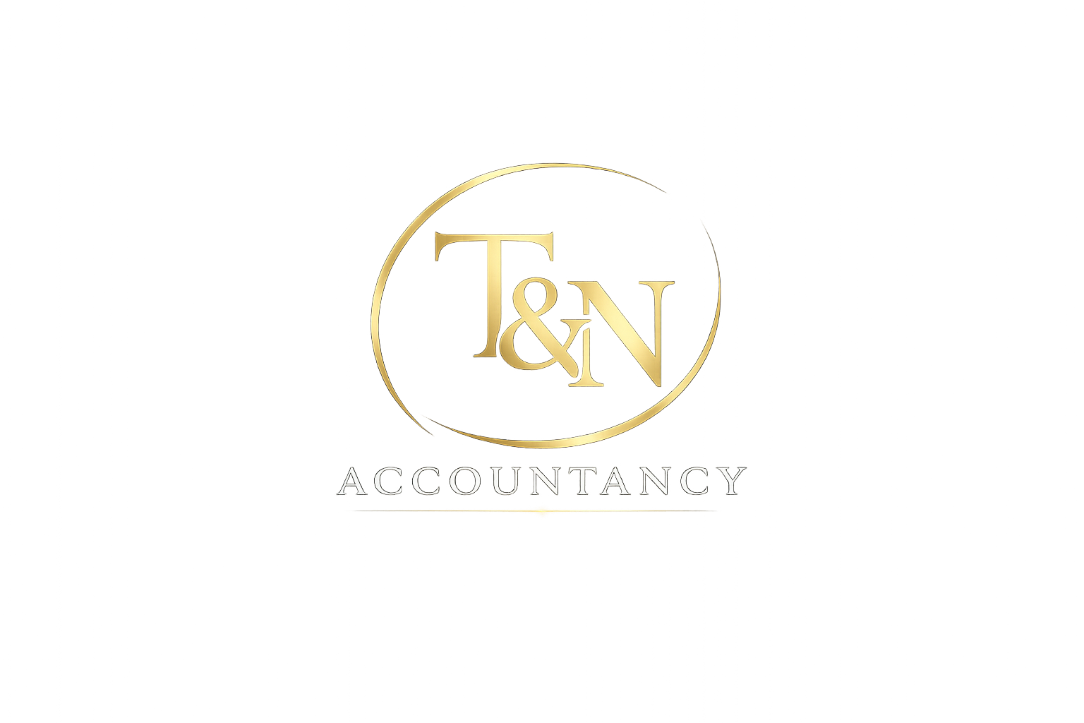 T&N ACCOUNTANCY logo